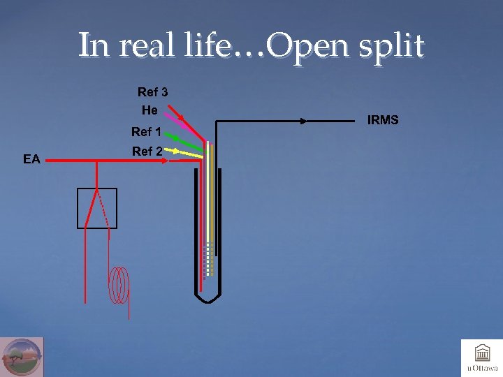 In real life…Open split Ref 3 He Ref 1 EA Ref 2 IRMS 