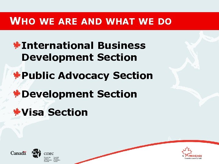 WHO WE ARE AND WHAT WE DO International Business Development Section Public Advocacy Section