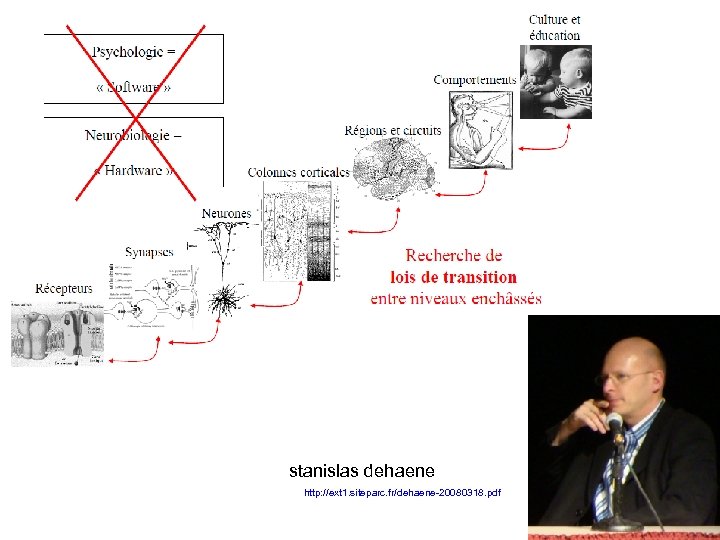 stanislas dehaene http: //ext 1. siteparc. fr/dehaene-20080318. pdf 