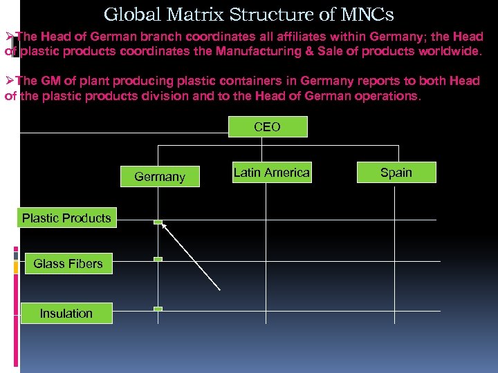 Global Matrix Structure of MNCs ØThe Head of German branch coordinates all affiliates within