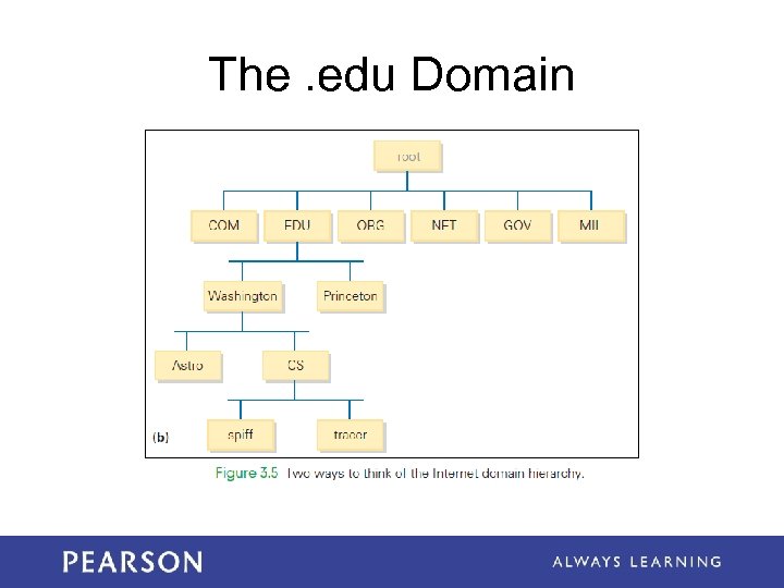 The. edu Domain 