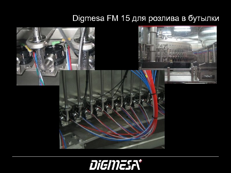 Digmesa FM 15 для розлива в бутылки 32 
