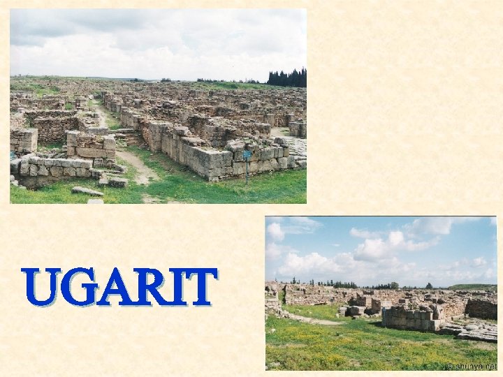 UGARIT 