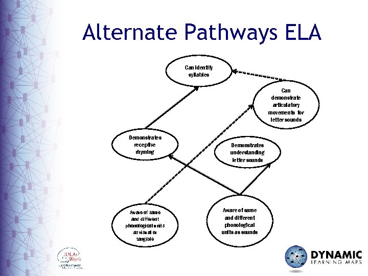 Alternate Pathways ELA Can identify syllables Can demonstrate articulatory movements for letter sounds Demonstrates