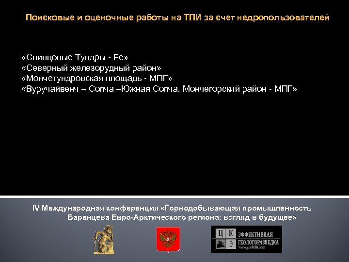 Поисковые и оценочные работы на ТПИ за счет недропользователей «Свинцовые Тундры - Fe» «Северный