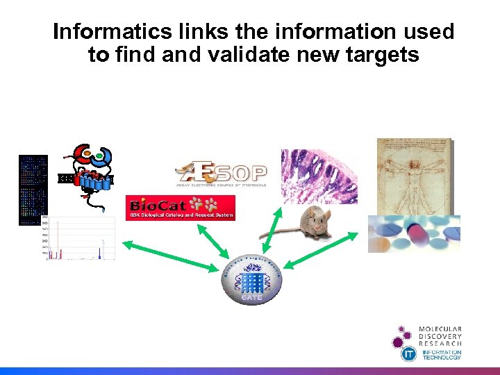 Informatics links the information used to find and validate new targets 