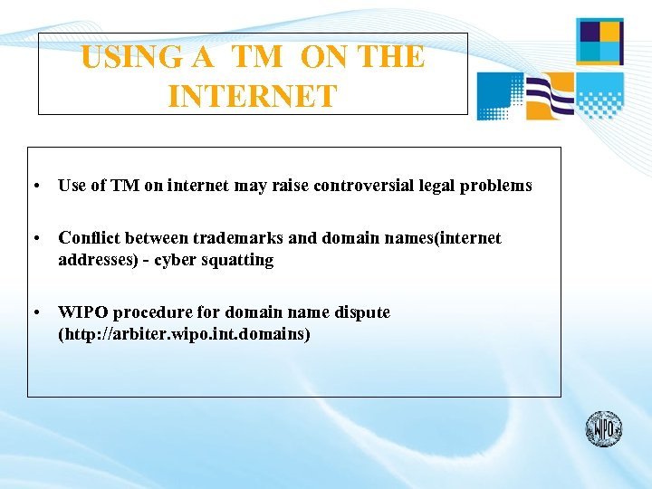 USING A TM ON THE INTERNET • Use of TM on internet may raise