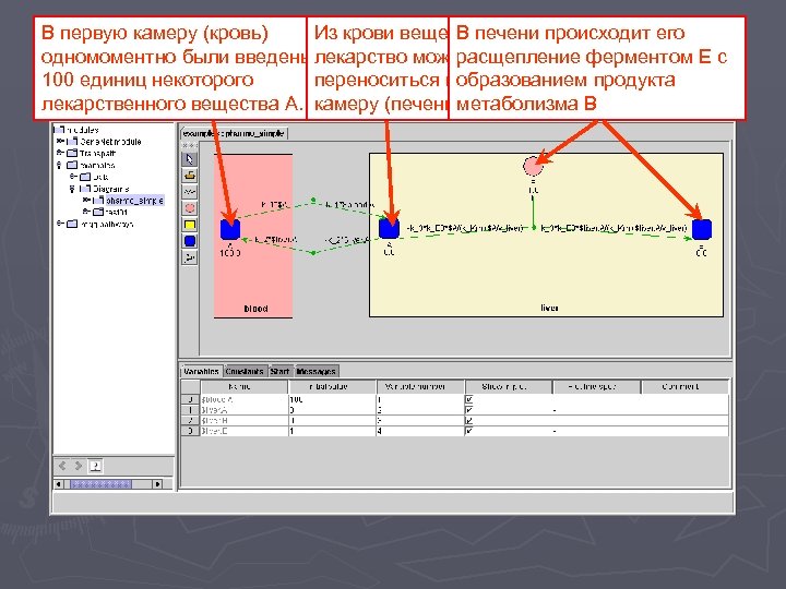 В первую камеру (кровь) Из крови вещество А В печени происходит его одномоментно были
