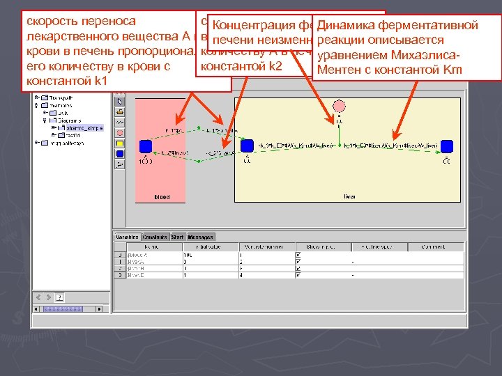 скорость переноса из печени вферментативной Динамика Концентрация фермента E лекарственного вещества А из кровь