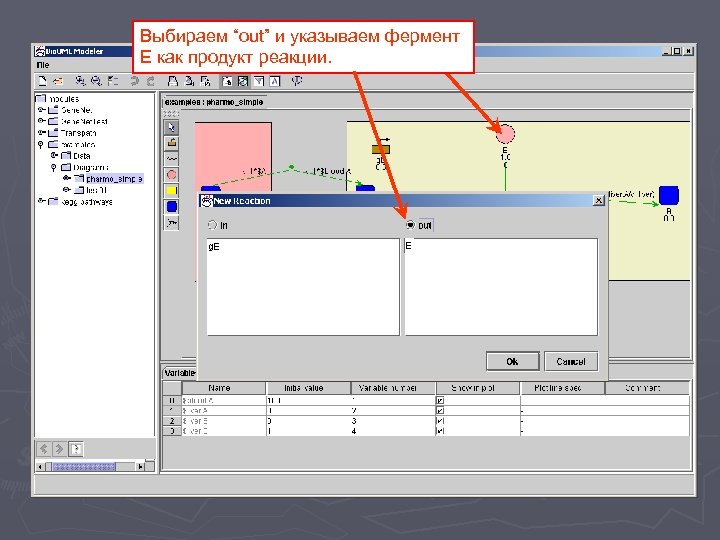 Выбираем “out” и указываем фермент E как продукт реакции. 