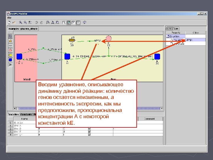 Вводим уравнение, описывающее динамику данной реакции: количество генов остается неизменным, а интенсивность экспресии, как