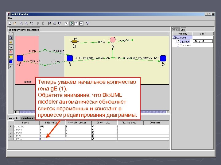 Теперь укажем начальное количество гена g. E (1). Обратите внимание, что Bio. UML modeler