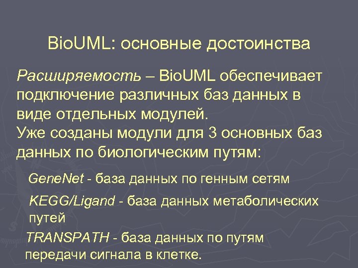 Bio. UML: основные достоинства Расширяемость – Bio. UML обеспечивает подключение различных баз данных в