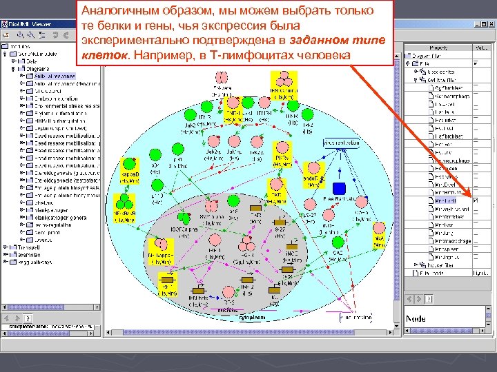 Аналогичным образом, мы можем выбрать только те белки и гены, чья экспрессия была экспериментально