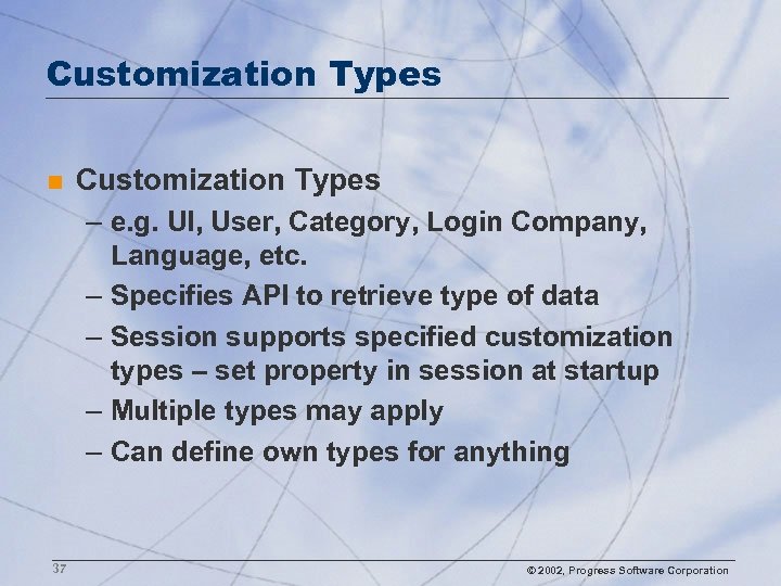 Customization Types n Customization Types – e. g. UI, User, Category, Login Company, Language,