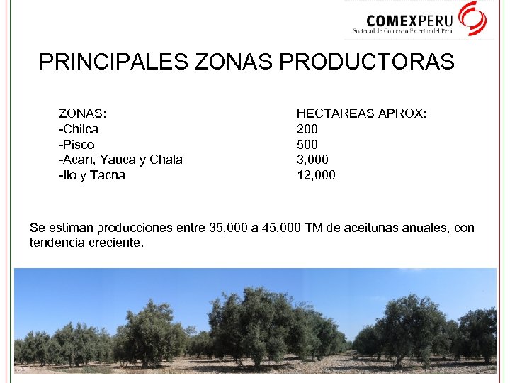 PRINCIPALES ZONAS PRODUCTORAS ZONAS: -Chilca -Pisco -Acarí, Yauca y Chala -Ilo y Tacna HECTAREAS