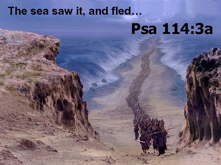 The sea saw it, and fled… Psa 114: 3 a 