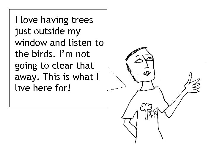 I love having trees just outside my window and listen to the birds. I’m