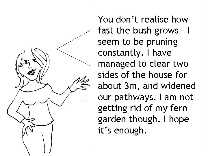 You don’t realise how fast the bush grows – I seem to be pruning