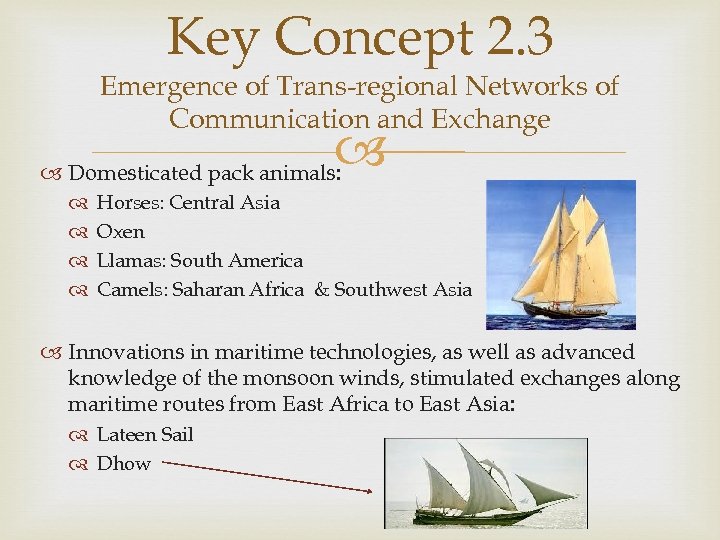 Key Concept 2. 3 Emergence of Trans-regional Networks of Communication and Exchange Domesticated pack
