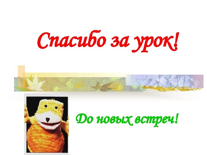 Спасибо за урок! До новых встреч! 