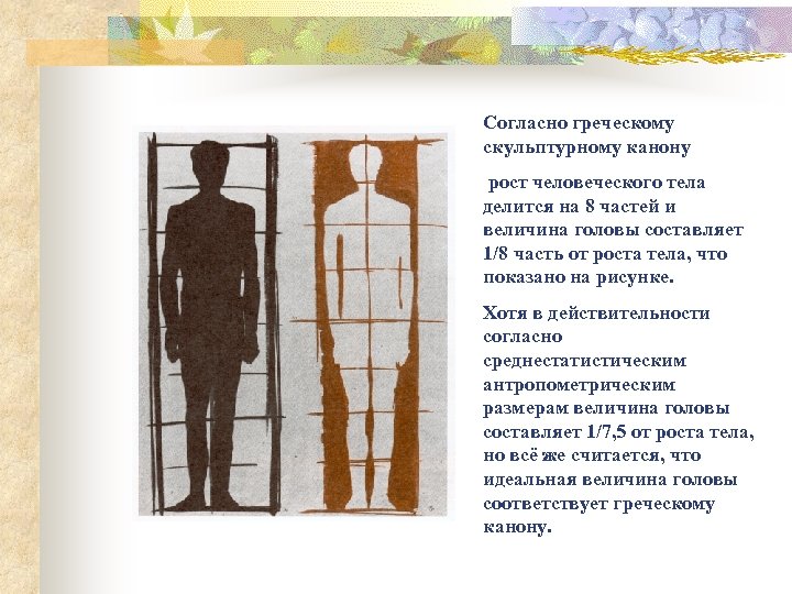 Согласно греческому скульптурному канону рост человеческого тела делится на 8 частей и величина головы