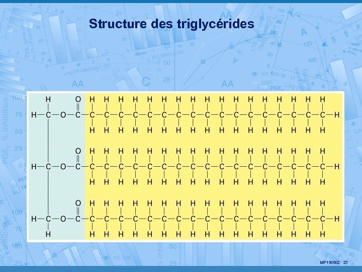 Structure des triglycérides MP 190802 23 