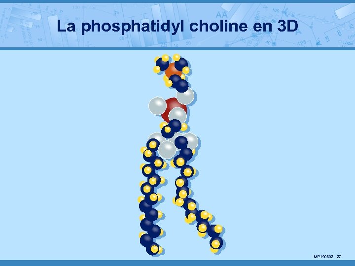 La phosphatidyl choline en 3 D MP 190802 27 