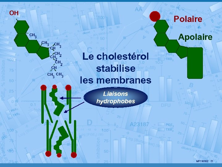 OH Polaire Apolaire CH 3 CH CH 2 2 CH CH CH 3 3