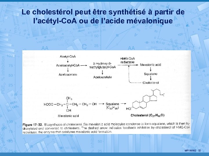 Le cholestérol peut être synthétisé à partir de l’acétyl-Co. A ou de l’acide mévalonique