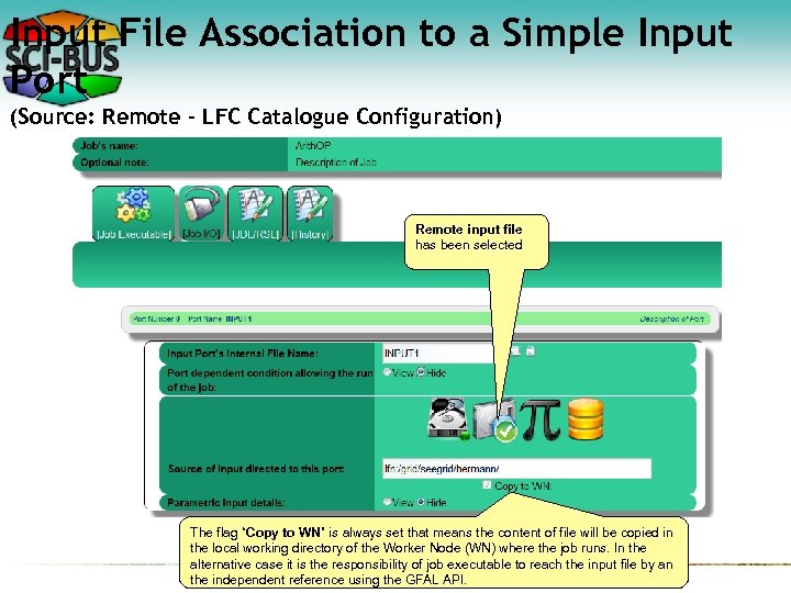 Input File Association to a Simple Input Port (Source: Remote – LFC Catalogue Configuration)