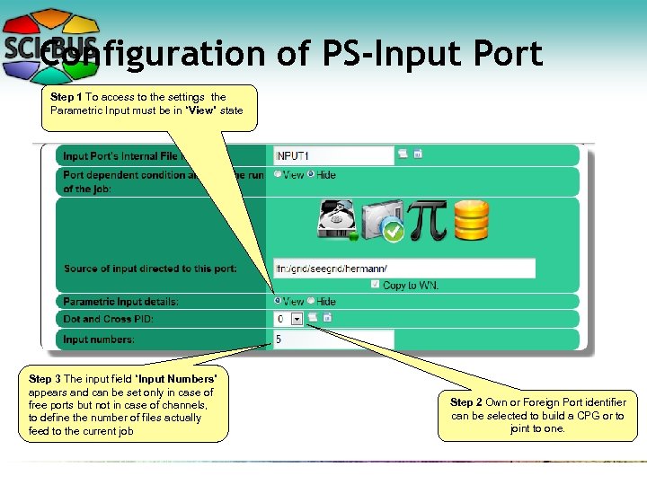 Configuration of PS-Input Port Step 1 To access to the settings the Parametric Input