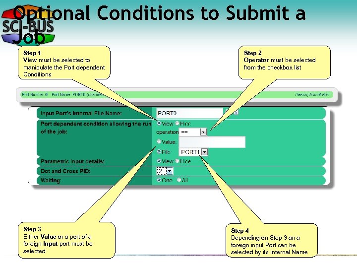 Optional Conditions to Submit a Job Step 1 View must be selected to manipulate