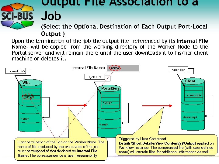 Output File Association to a Job (Select the Optional Destination of Each Output Port-Local
