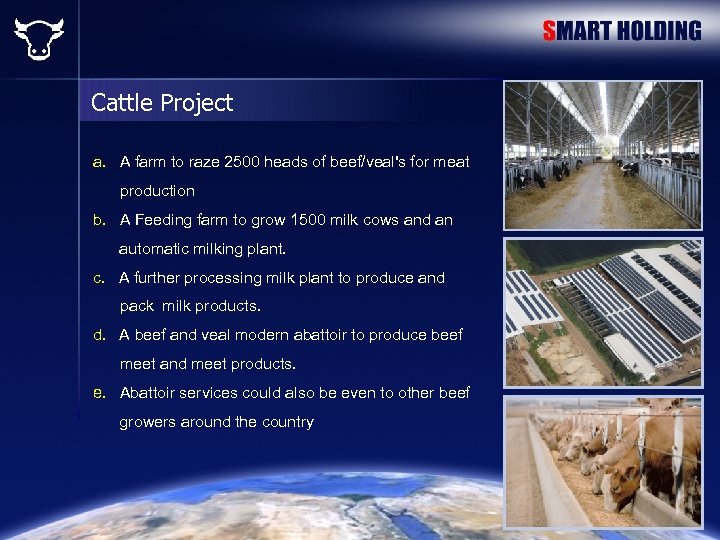 Cattle Project a. A farm to raze 2500 heads of beef/veal's for meat production