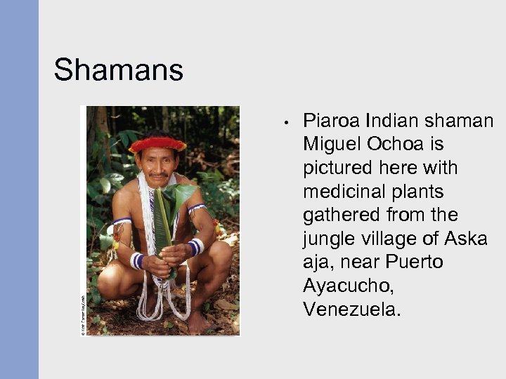 Shamans • Piaroa Indian shaman Miguel Ochoa is pictured here with medicinal plants gathered