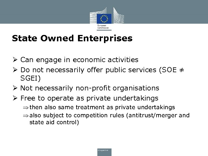 State Owned Enterprises Ø Can engage in economic activities Ø Do not necessarily offer