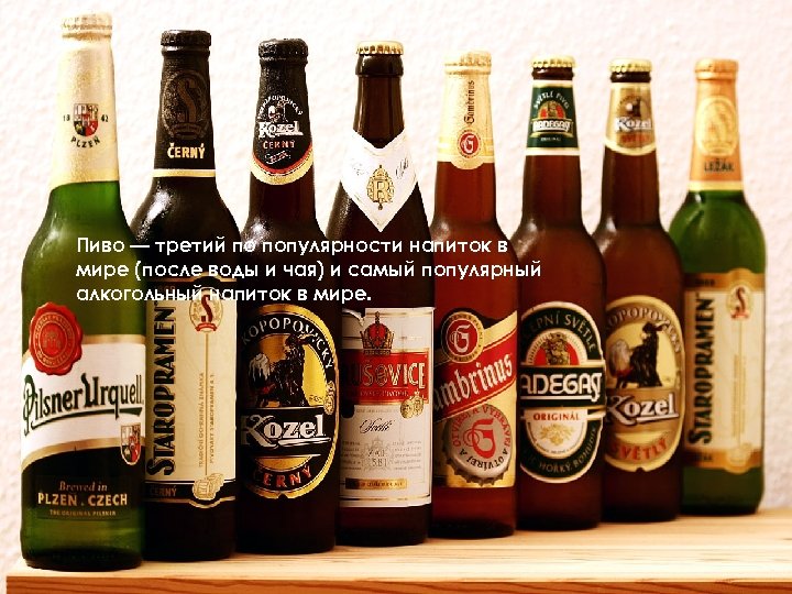 Пиво — третий по популярности напиток в мире (после воды и чая) и самый