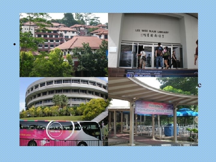 (2) Education level • Singapore education system similar to the British system, since the