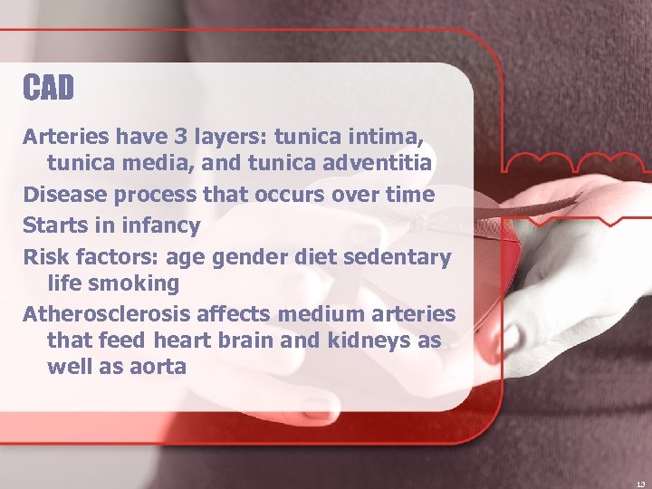 CAD Arteries have 3 layers: tunica intima, tunica media, and tunica adventitia Disease process