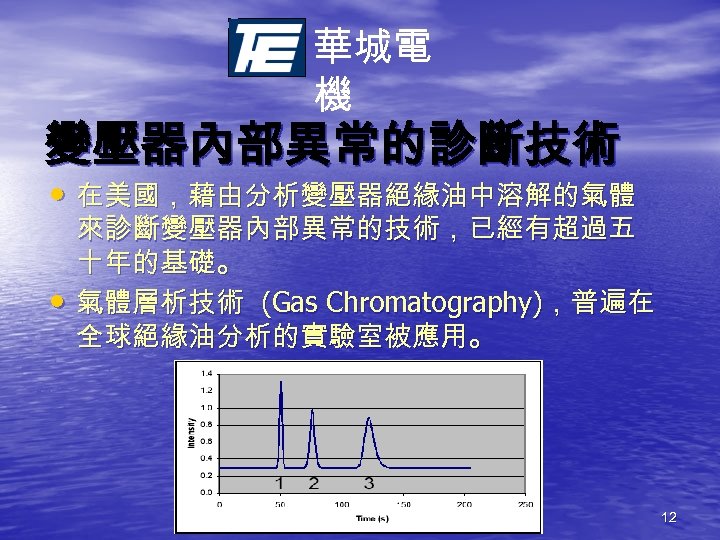 華城電 機 變壓器內部異常的診斷技術 • 在美國，藉由分析變壓器絕緣油中溶解的氣體 • 來診斷變壓器內部異常的技術，已經有超過五 十年的基礎。 氣體層析技術 (Gas Chromatography)，普遍在 全球絕緣油分析的實驗室被應用。 12 