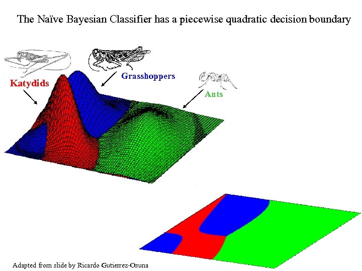 The Naïve Bayesian Classifier has a piecewise quadratic decision boundary Katydids Grasshoppers Ants Adapted