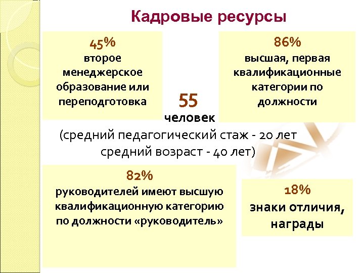 Кадровые ресурсы 45% второе менеджерское образование или переподготовка 86% 55 высшая, первая квалификационные категории