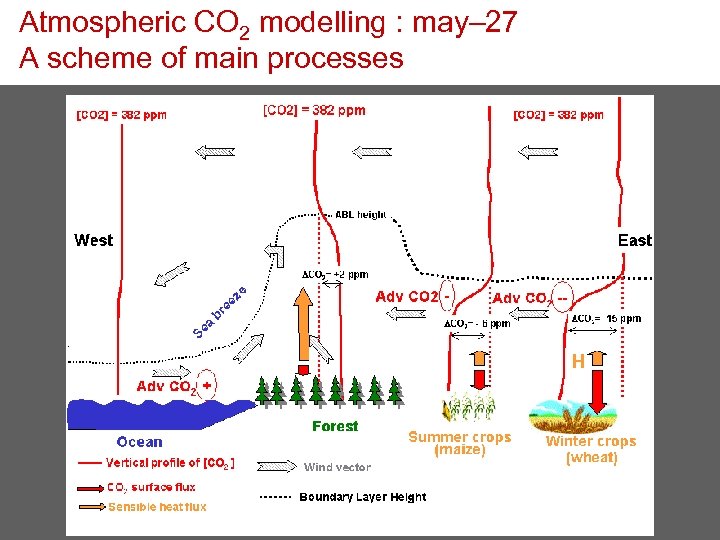 Atmospheric CO 2 modelling : may– 27 A scheme of main processes 