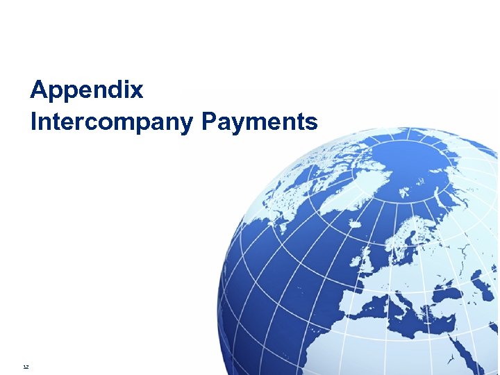 Appendix Intercompany Payments 32 