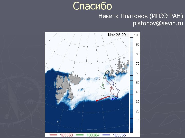 Спасибо Никита Платонов (ИПЭЭ РАН) platonov@sevin. ru 