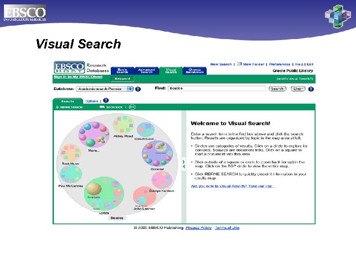 Visual Search 