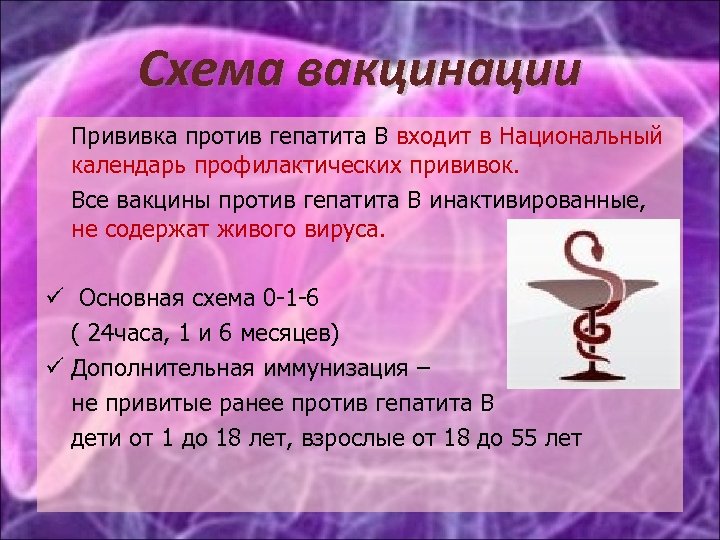 Схема вакцинации Прививка против гепатита В входит в Национальный календарь профилактических прививок. Все вакцины