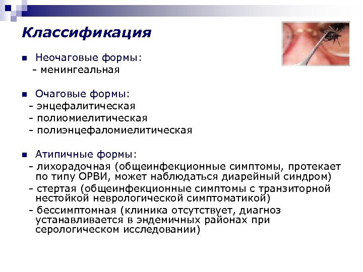Классификация n Неочаговые формы: - менингеальная n Очаговые формы: - энцефалитическая - полиомиелитическая -
