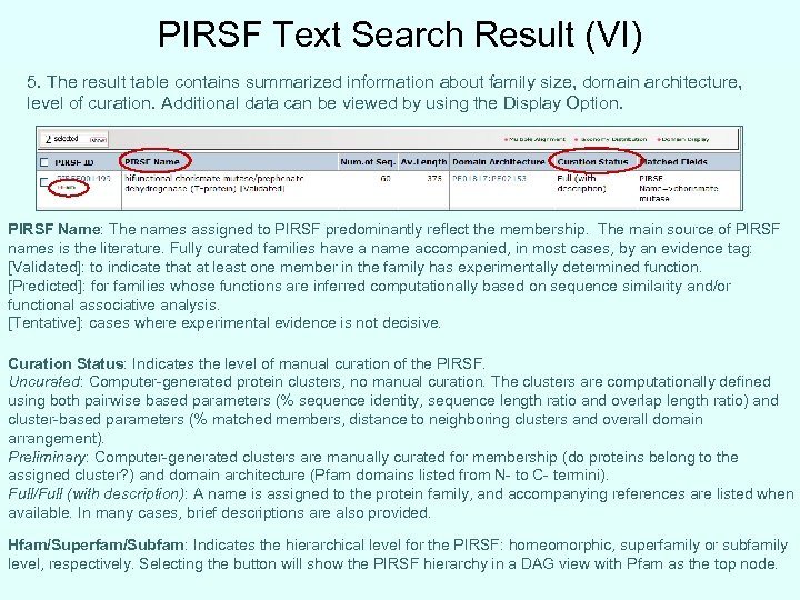 PIRSF Text Search Result (VI) 5. The result table contains summarized information about family